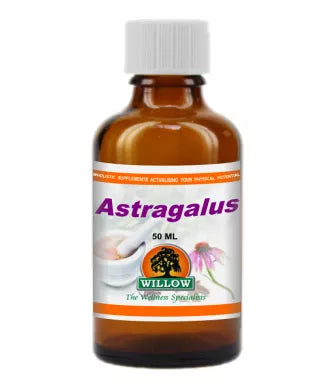 Willow - Astragalus