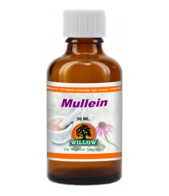 Willow – Mullein Tincture 50ml