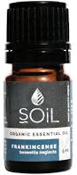 Soil - Essential oil Frankincense 5ml