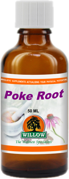Willow - Organic Poke Root Drops 50ml